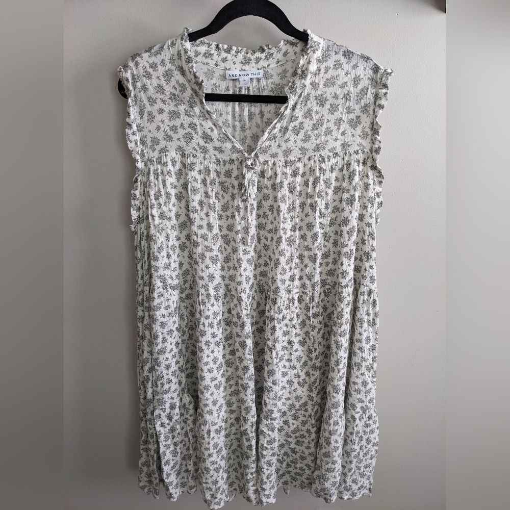 Cottage Core Dainty Floral Dress - And Now This Size 2x Prairie Farmhouse